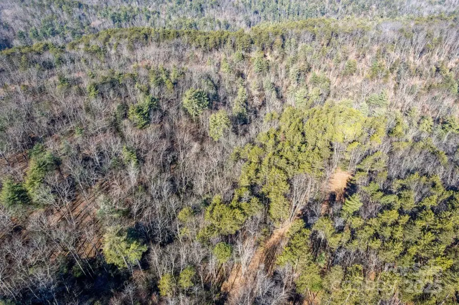 0 Sassafras Lane, Connelly Springs, NC 28612 - Image #2