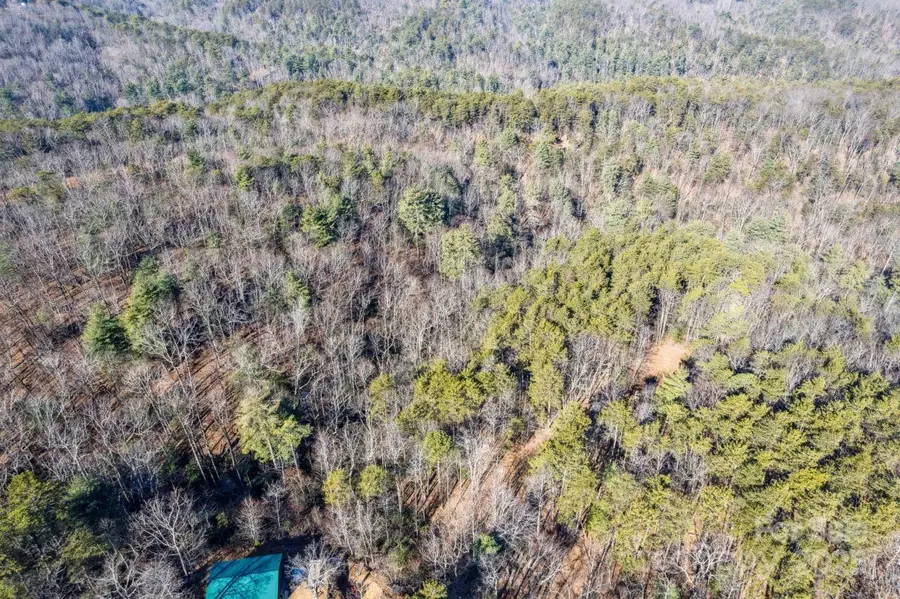 0 Sassafras Lane, Connelly Springs, NC 28612 - Image #3