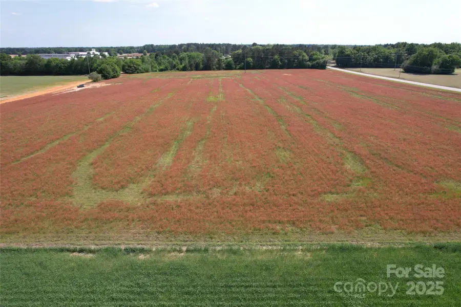 6 Rogers Lane, Bennettsville, SC 29512 - Image #2