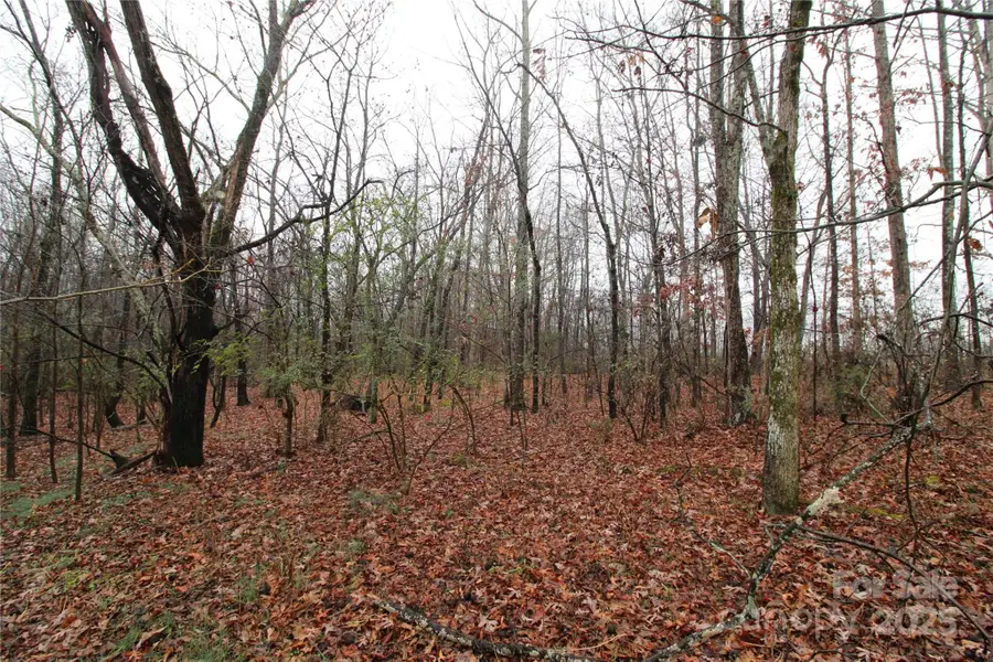 LOT L 9+/-AC Eaker Road, Kings Mountain, NC 28086 - Image #3