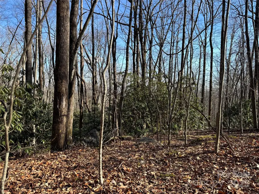 0 Judes Gap Road #2, Mill Spring, NC 28756 - Image #3