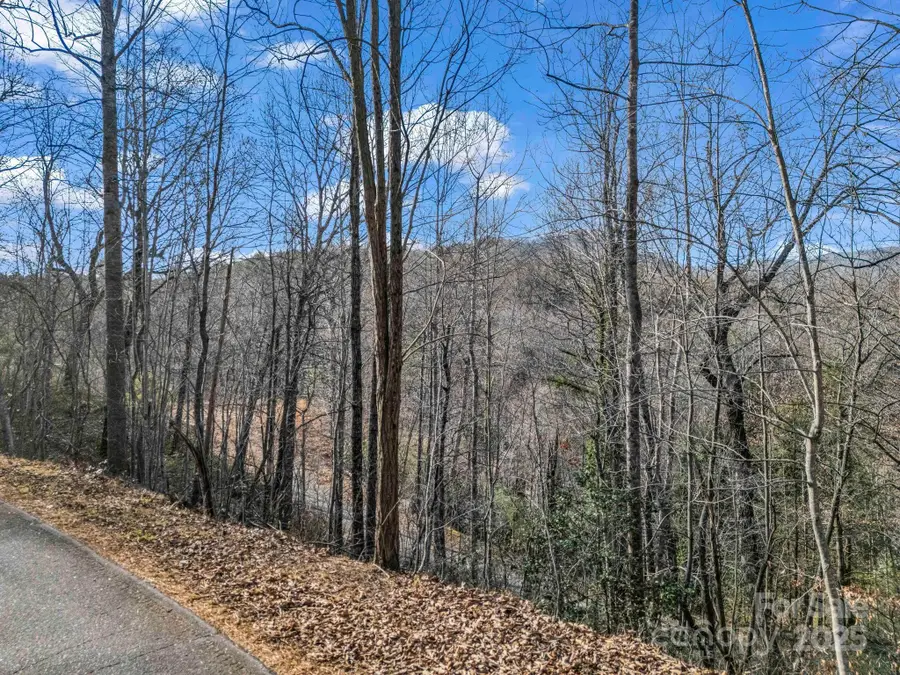 0000 Holmes Road, Lake Lure, NC 28746 - Image #3