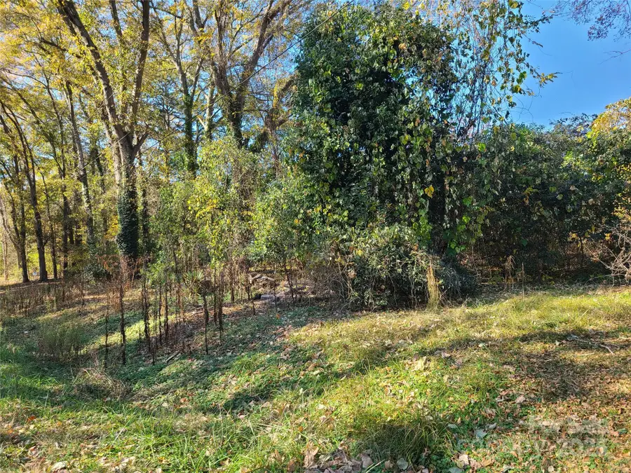 00 Excelsior Street, Belmont, NC 28012 - Image #2