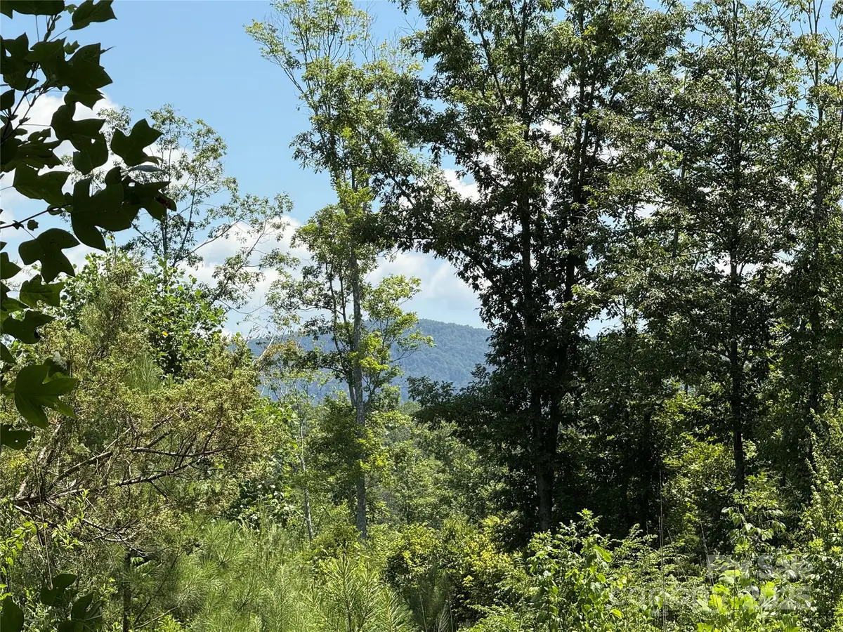 0 Collins Road #3, Bostic, NC 28018 - Image #1