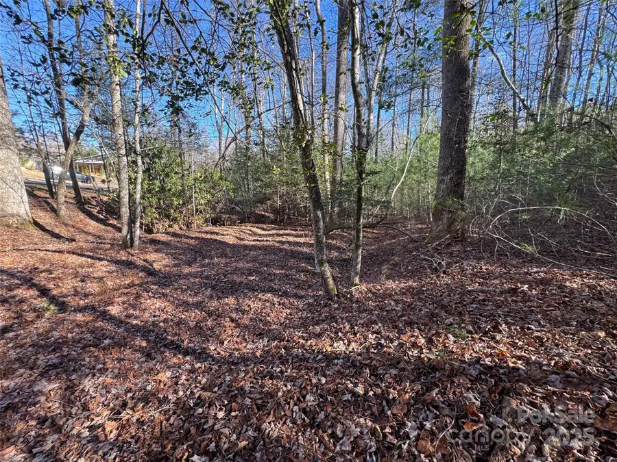 000 Small Creek Road, Brevard, NC 28712 - Image #2