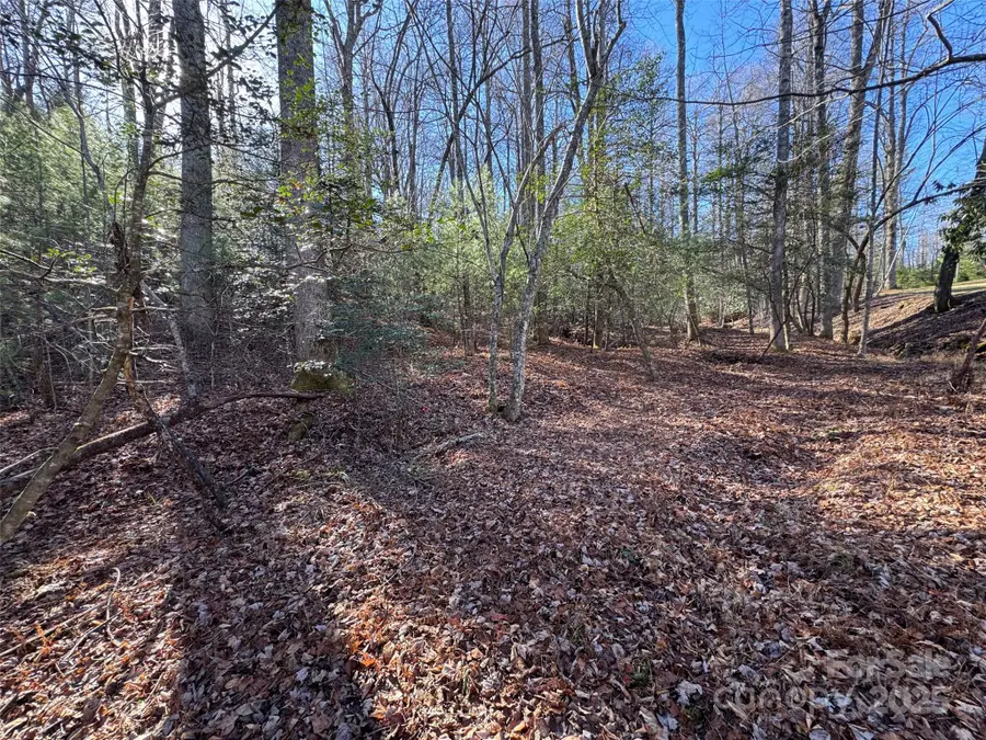 000 Small Creek Road, Brevard, NC 28712 - Image #3