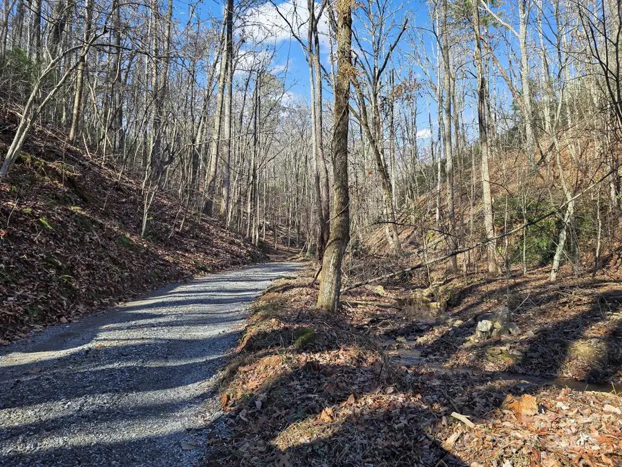 6617 Green River Cove Road, Saluda, NC 28773 - Image #2