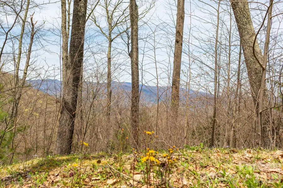 Lot 2 Heritage Ridge Loop, Burnsville, NC 28714 - #2
