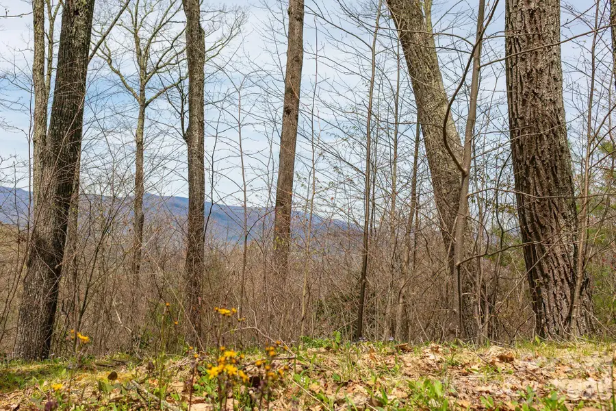 Lot 2 Heritage Ridge Loop, Burnsville, NC 28714 - #3