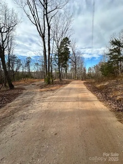 7303 White Pine Drive, Hickory, NC 28602 - Image #3