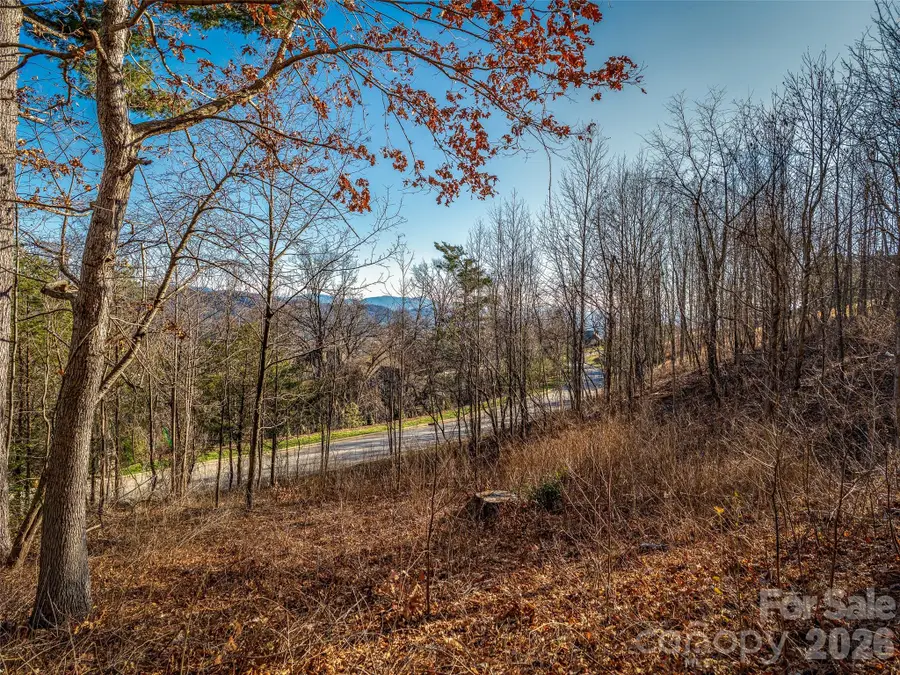 167 Summit Tower Circle, Asheville, NC 28804 - #3