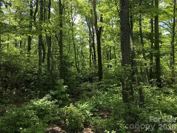 0 Millard Crossing #15, Hendersonville, NC 28792