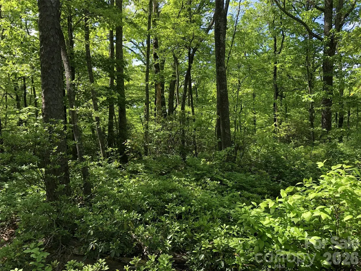 00 Millard Crossing #17, Hendersonville, NC 28792 - #1