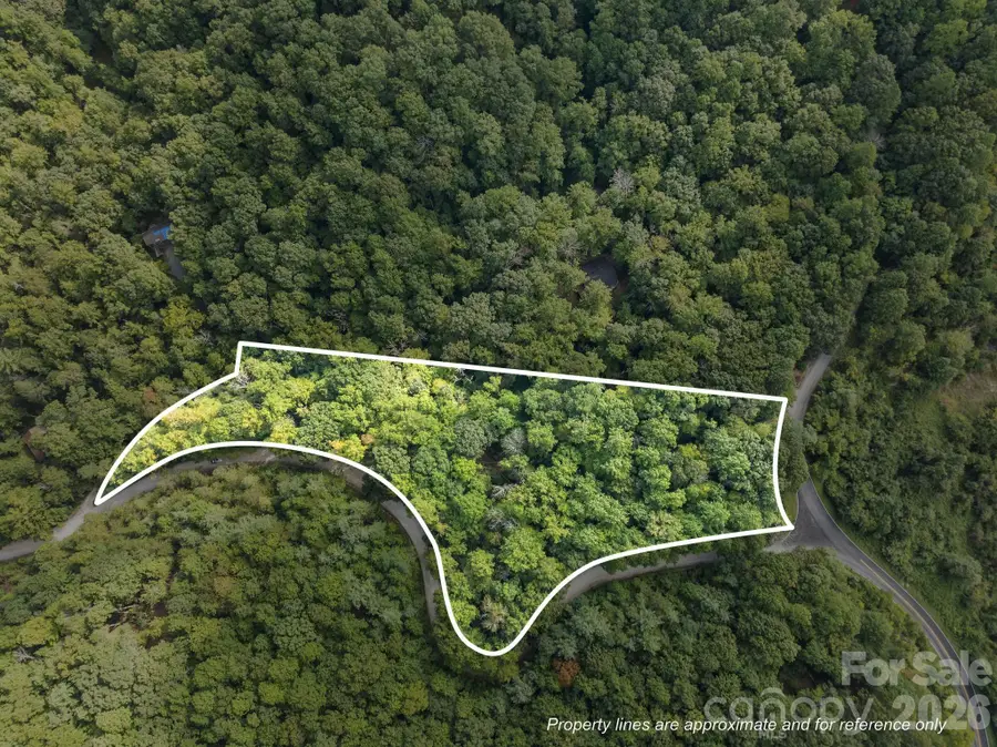 1 Rixhaven Drive, Saluda, NC 28773 - Image #2