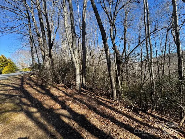 Lot 19 Udoque Court, Brevard, NC 28712