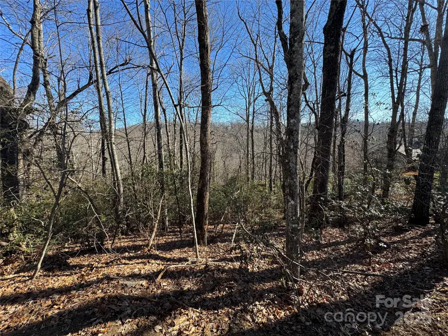 Lot 19 Udoque Court, Brevard, NC 28712 - Image #3