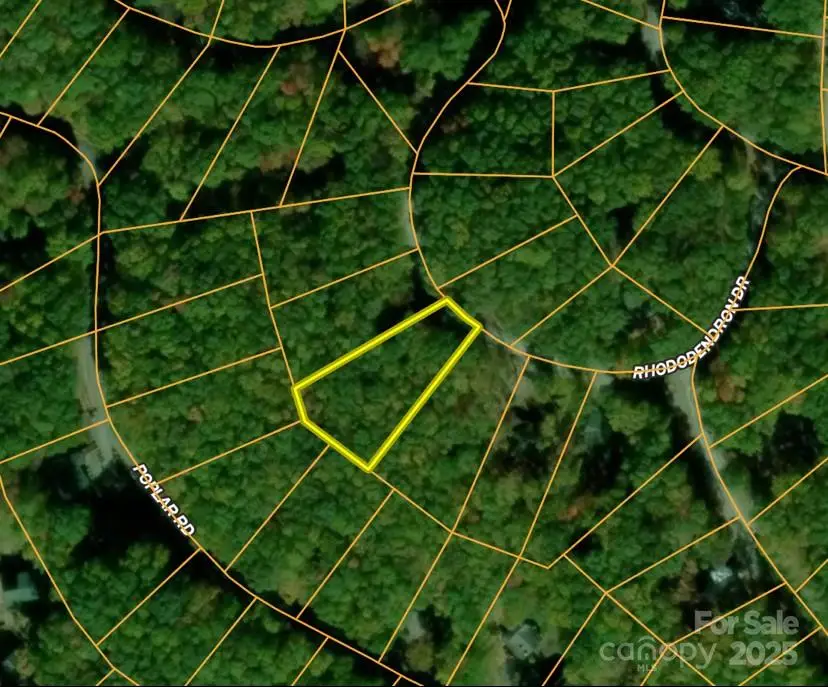 111 Rhododendron Drive, Beech Mountain, NC 28604 - Image #1