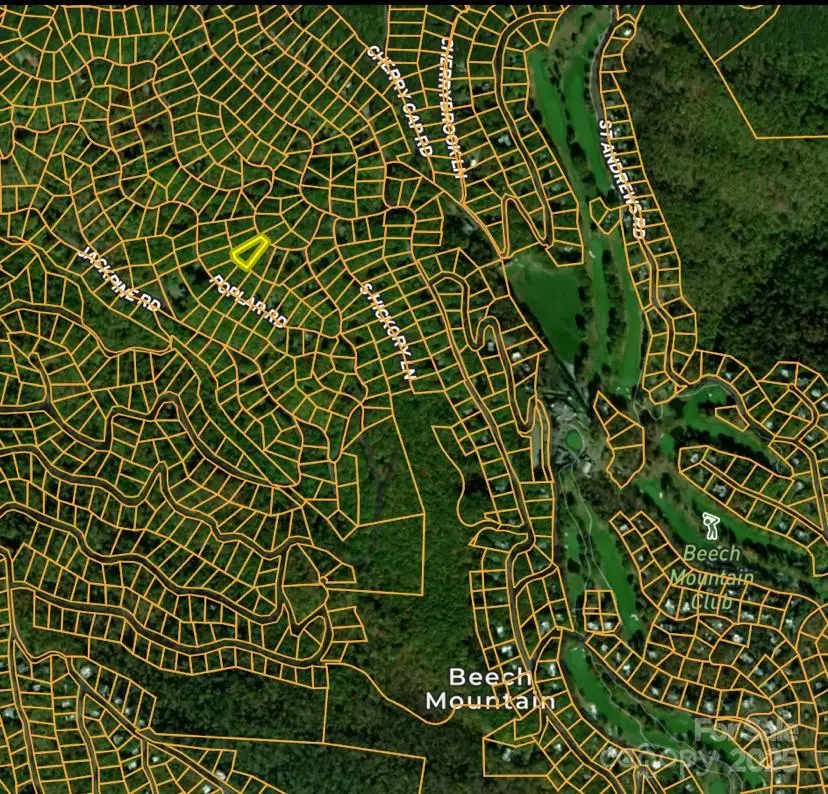 111 Rhododendron Drive, Beech Mountain, NC 28604 - Image #2