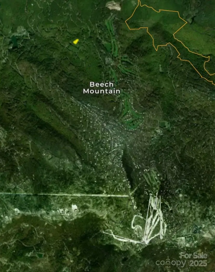 111 Rhododendron Drive, Beech Mountain, NC 28604 - Image #3