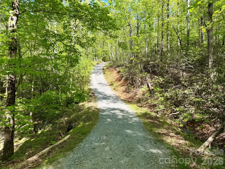 81 Delind Drive, Mill Spring, NC 28756 - #2