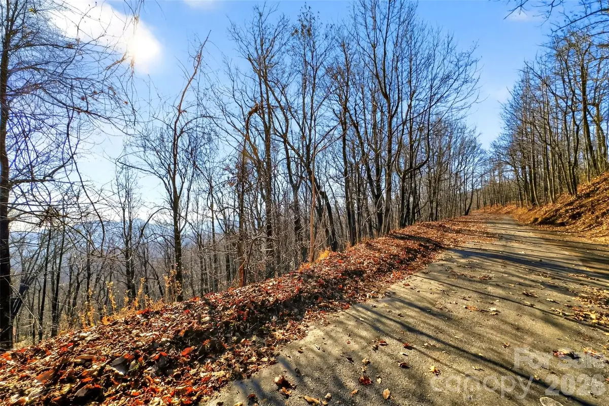 100 Wolf Pen Road, Old Fort, NC 28762 - Image #1