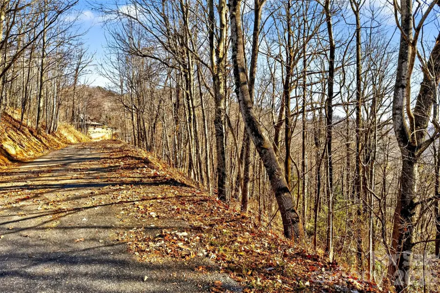 100 Wolf Pen Road, Old Fort, NC 28762 - Image #3