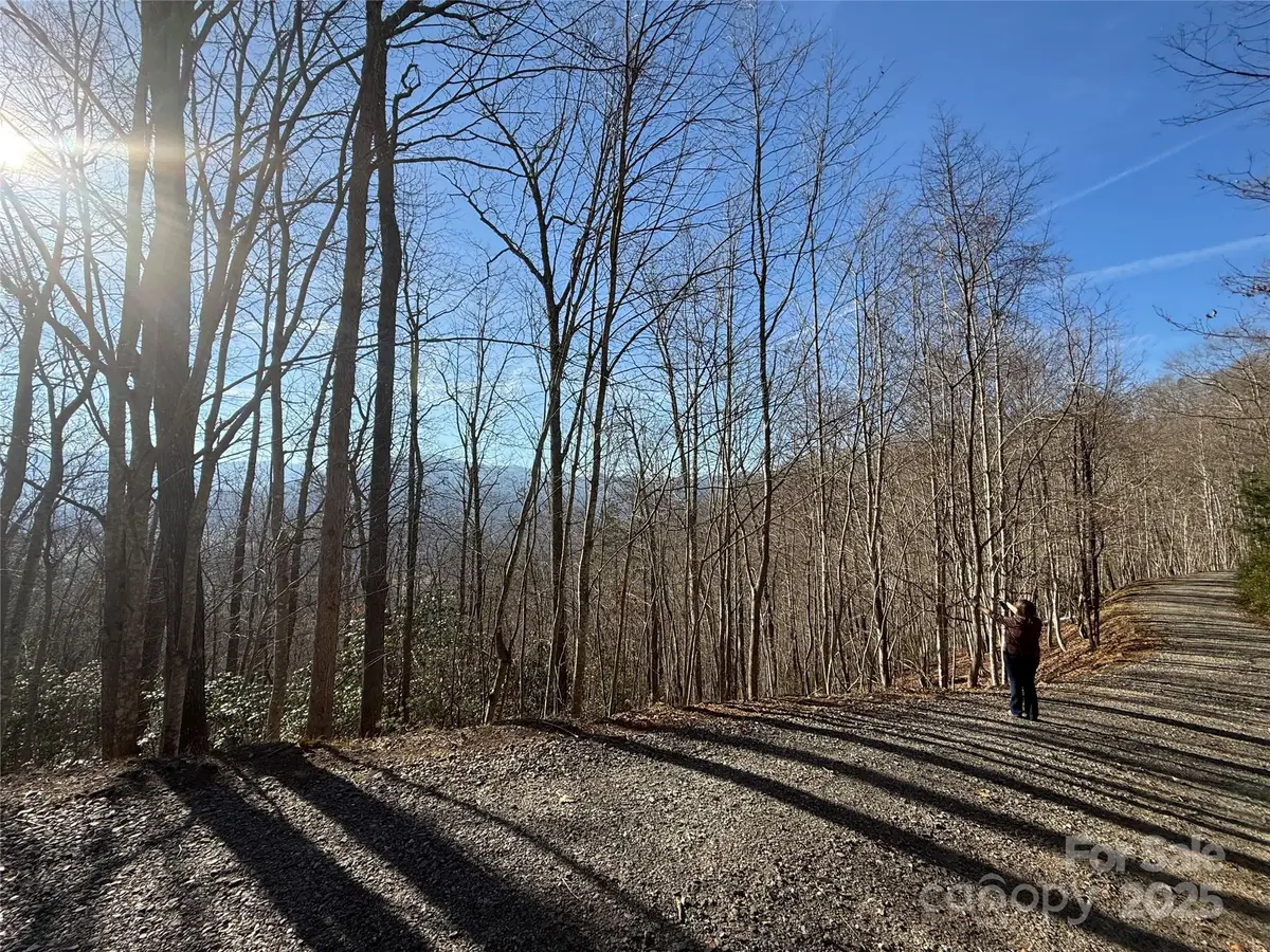 Lot 23 Thumper Trail #23, Waynesville, NC 28785 - Image #1