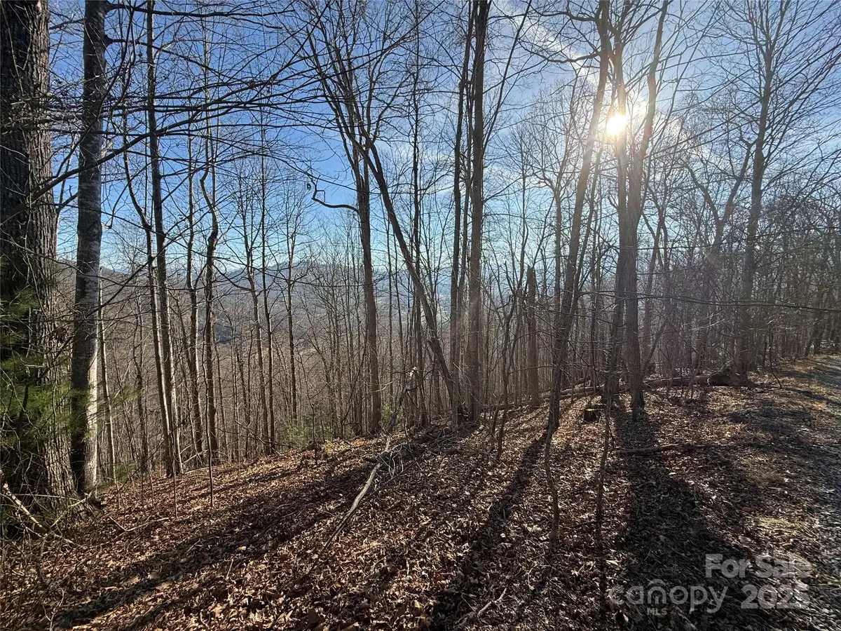 Lot 19 Brer Rabbit Trail #19, Waynesville, NC 28785 - Image #1