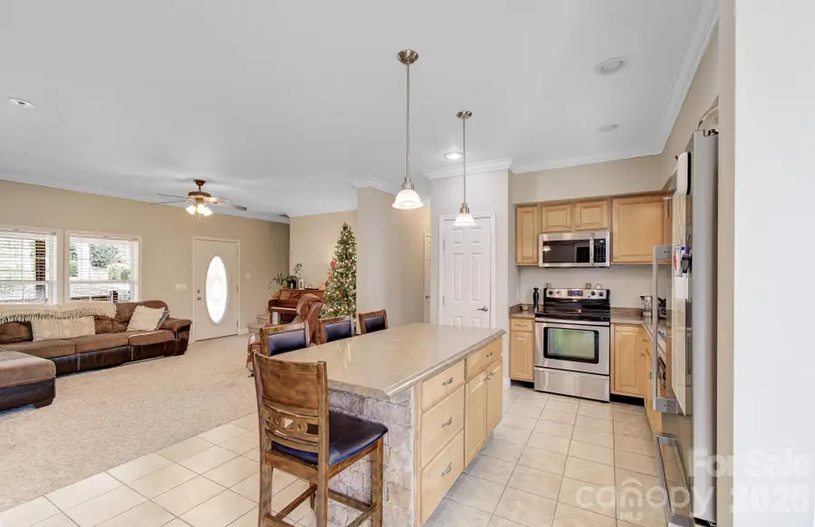 1496 Summit Springs Drive, Flat Rock, NC 28731 - #3