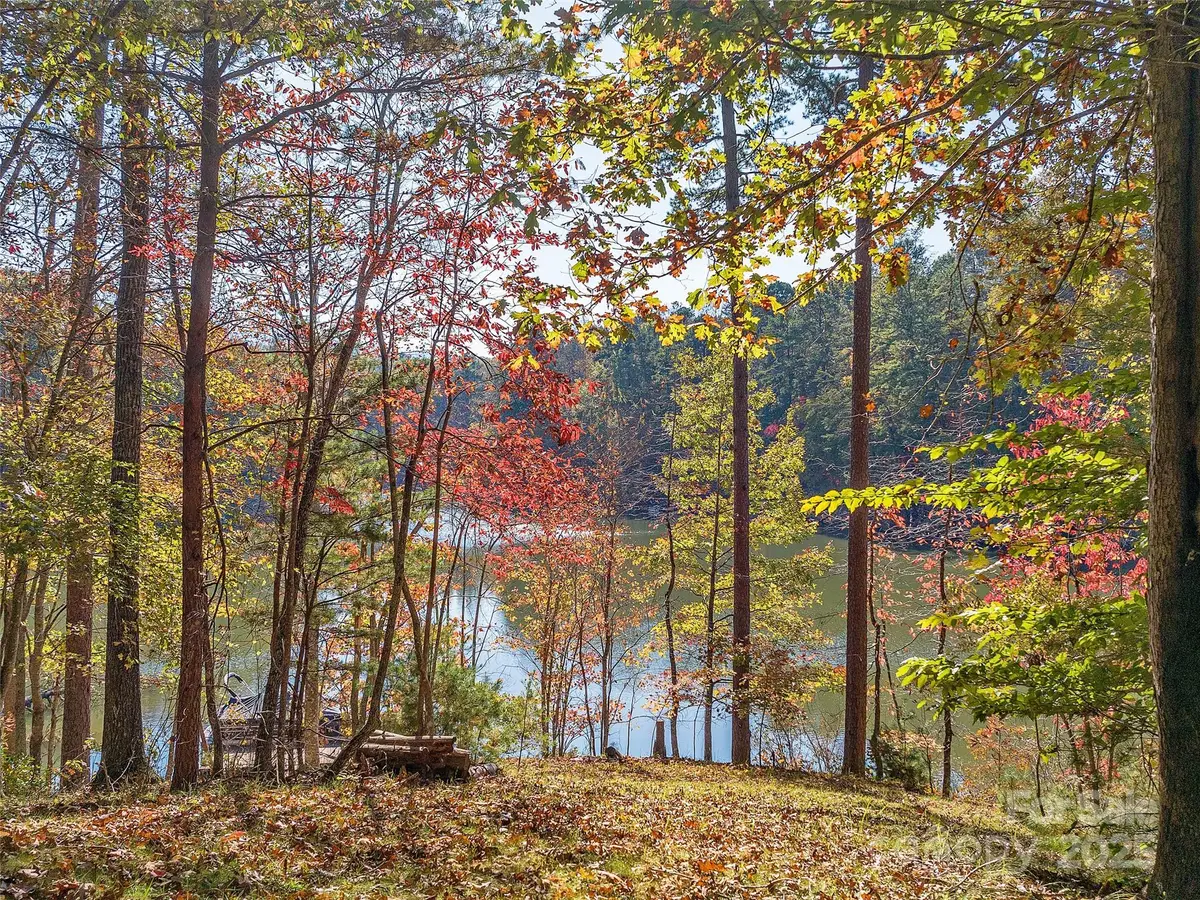 000 South Cove Road #17, Mill Spring, NC 28756 - Image #1