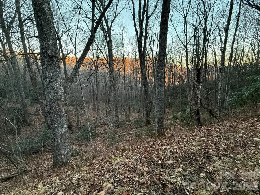 Lot 32 Bear Hollow Road #32, Waynesville, NC 28785 - #3