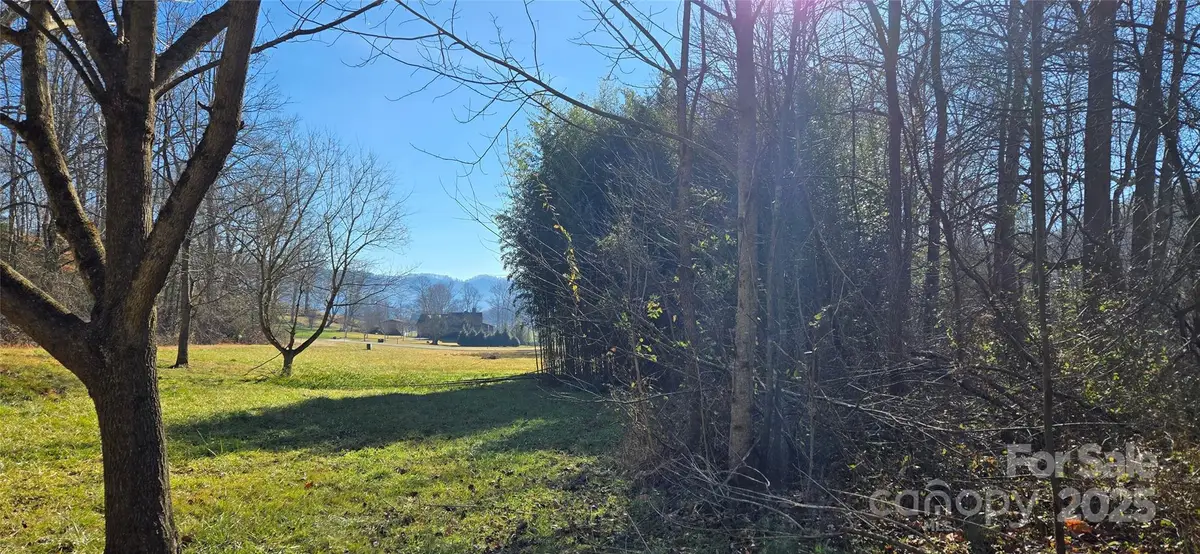 Lot 1 Turtle Rock Lane, Waynesville, NC 28785 - #1