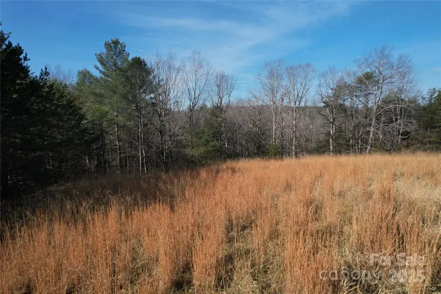 00 Virginia Ridge #57, Connelly Springs, NC 28612 - Image #2