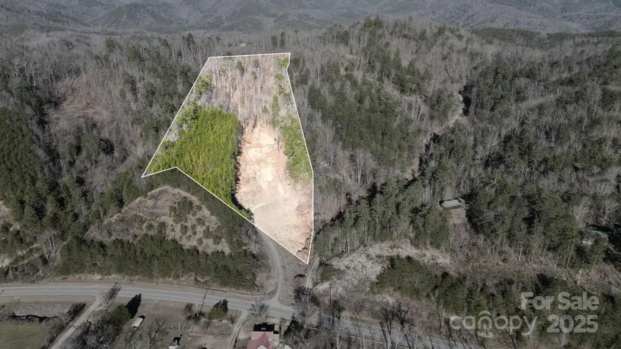 9999 Plum Tree Holler Drive, Hot Springs, NC 28743 - Image #2