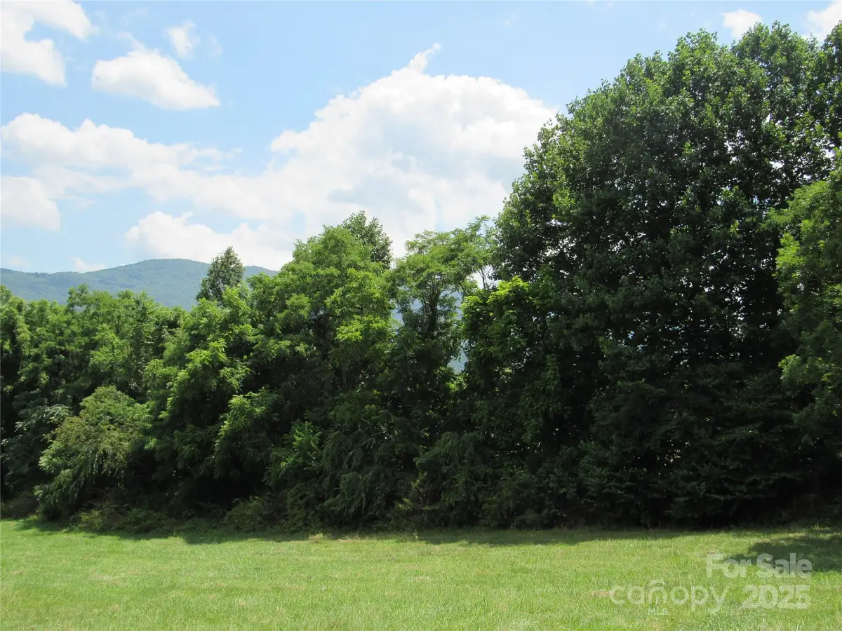 Lt#2 Mystic View Lane, Black Mountain, NC 28711 - Image #1