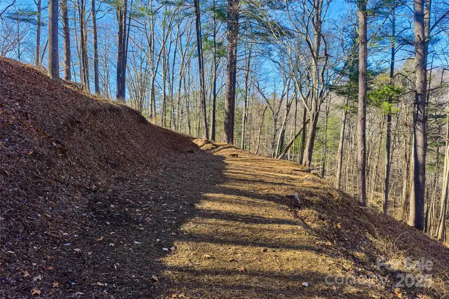 15 Beech Tree Lane, Asheville, NC 28804 - Image #2