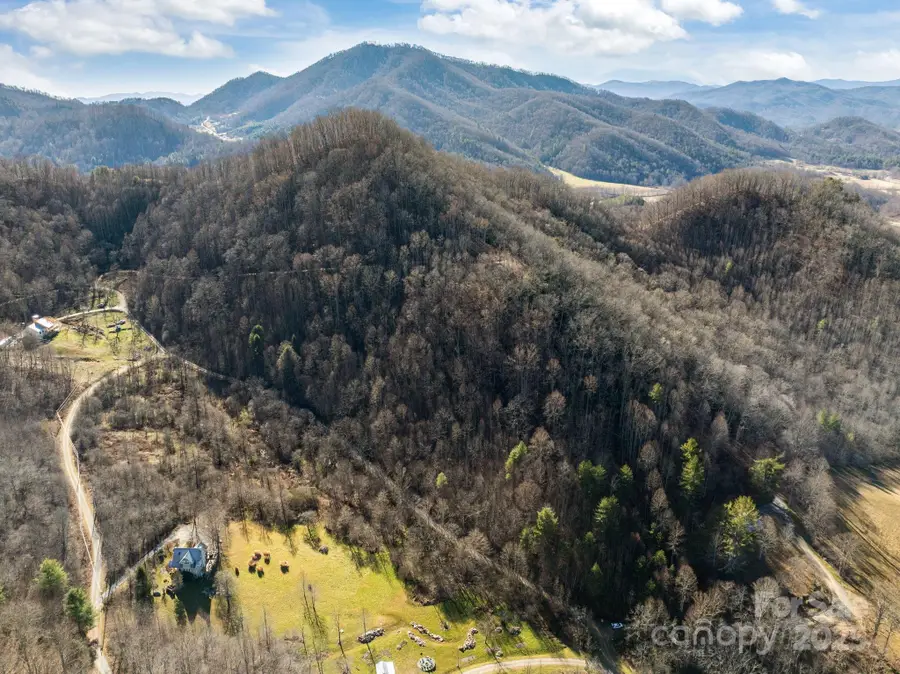 000 Wayward Cove, Clyde, NC 28721 - Image #2