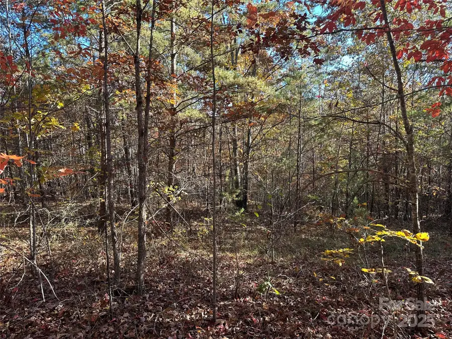 0 Ridge Road #15, Rutherfordton, NC 28139 - Image #3