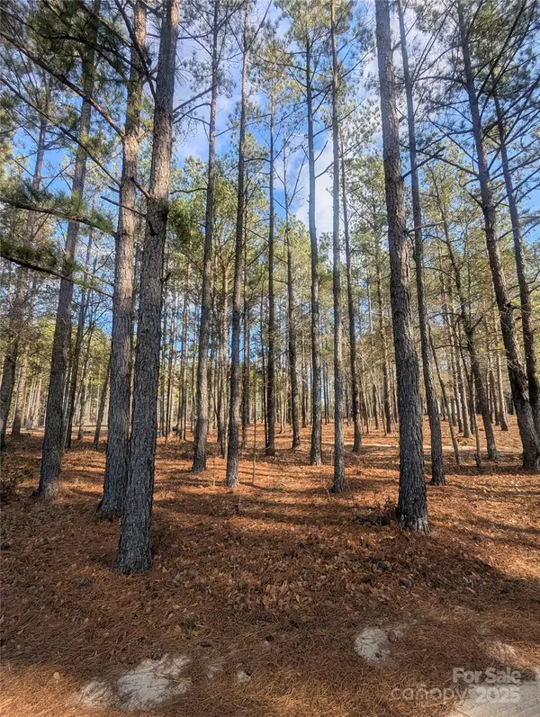 482 Pine Road, Jefferson, SC 29718