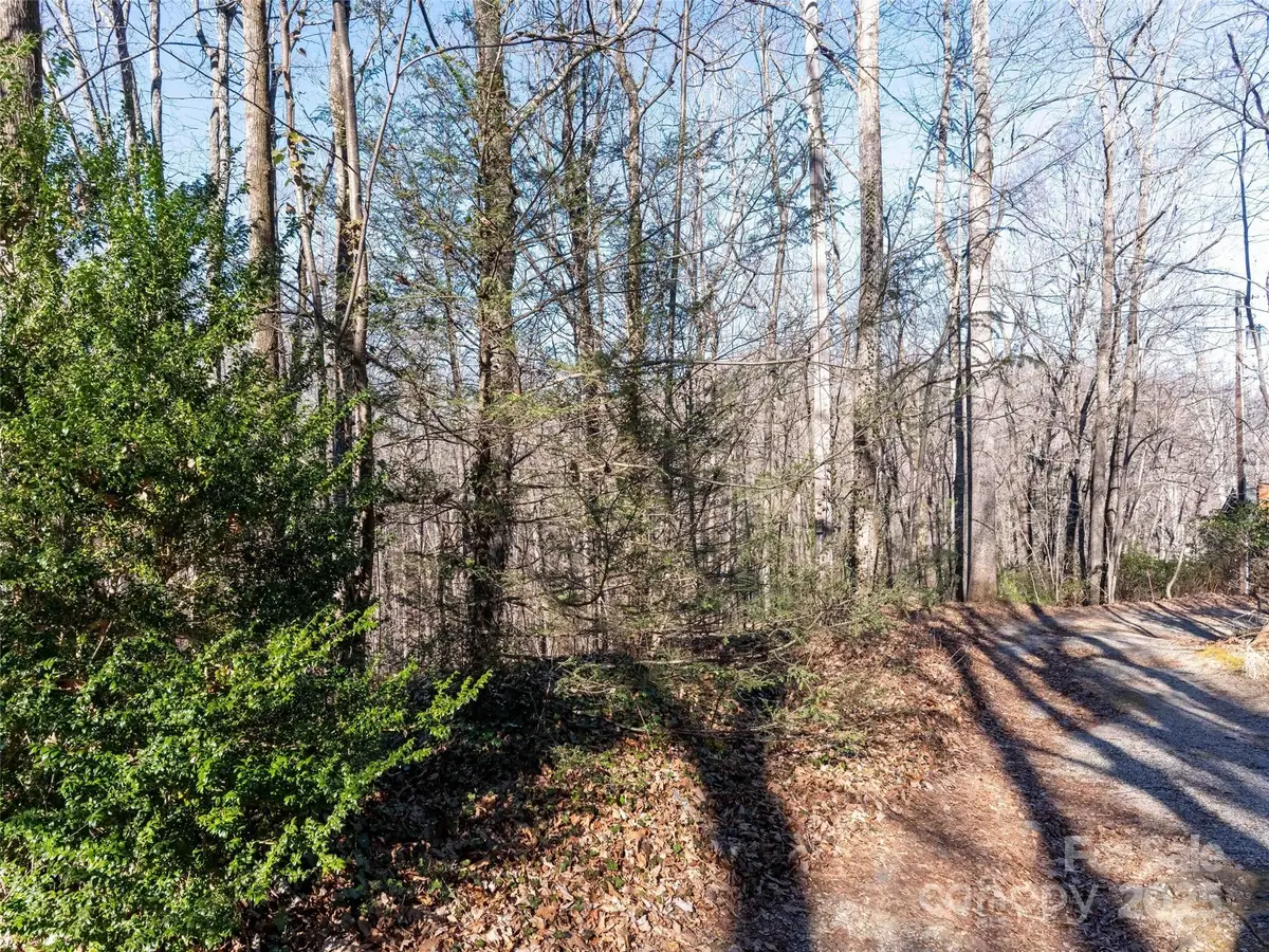 00 Mountain Page Road #17,18,19, Saluda, NC 28773 - Image #1