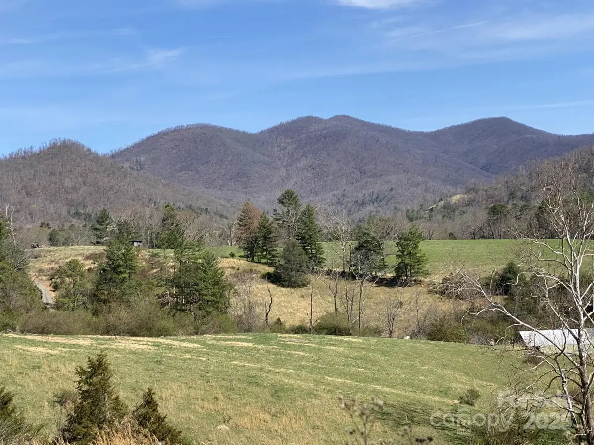 1 Pink Fox Cove Road, Weaverville, NC 28787 - Image #1