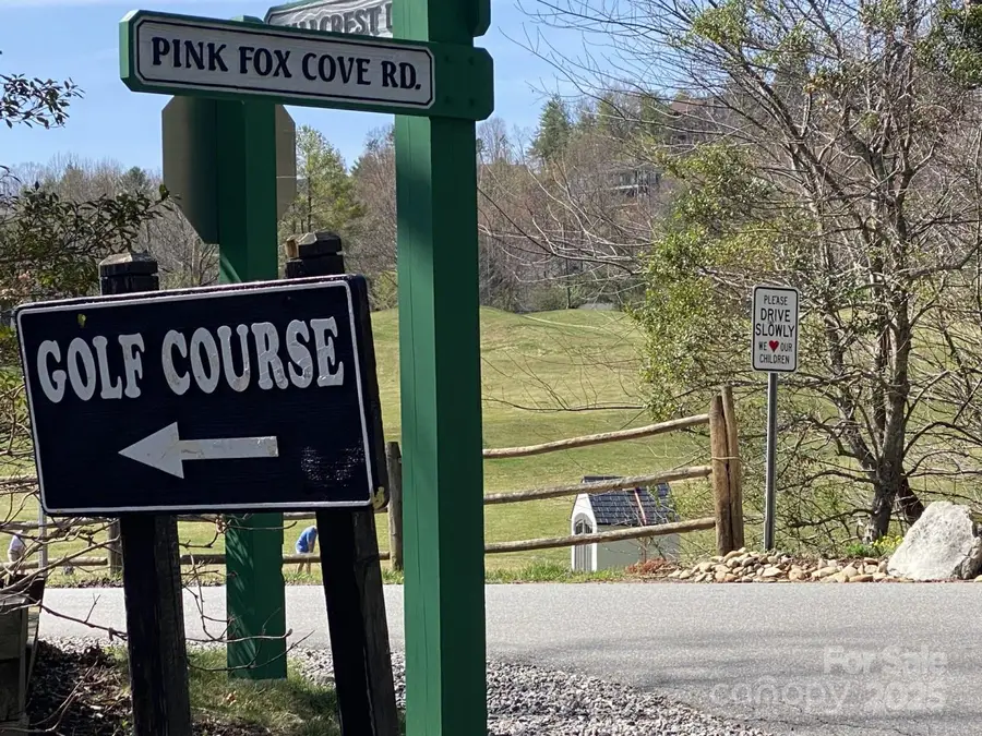 1 Pink Fox Cove Road, Weaverville, NC 28787 - Image #2