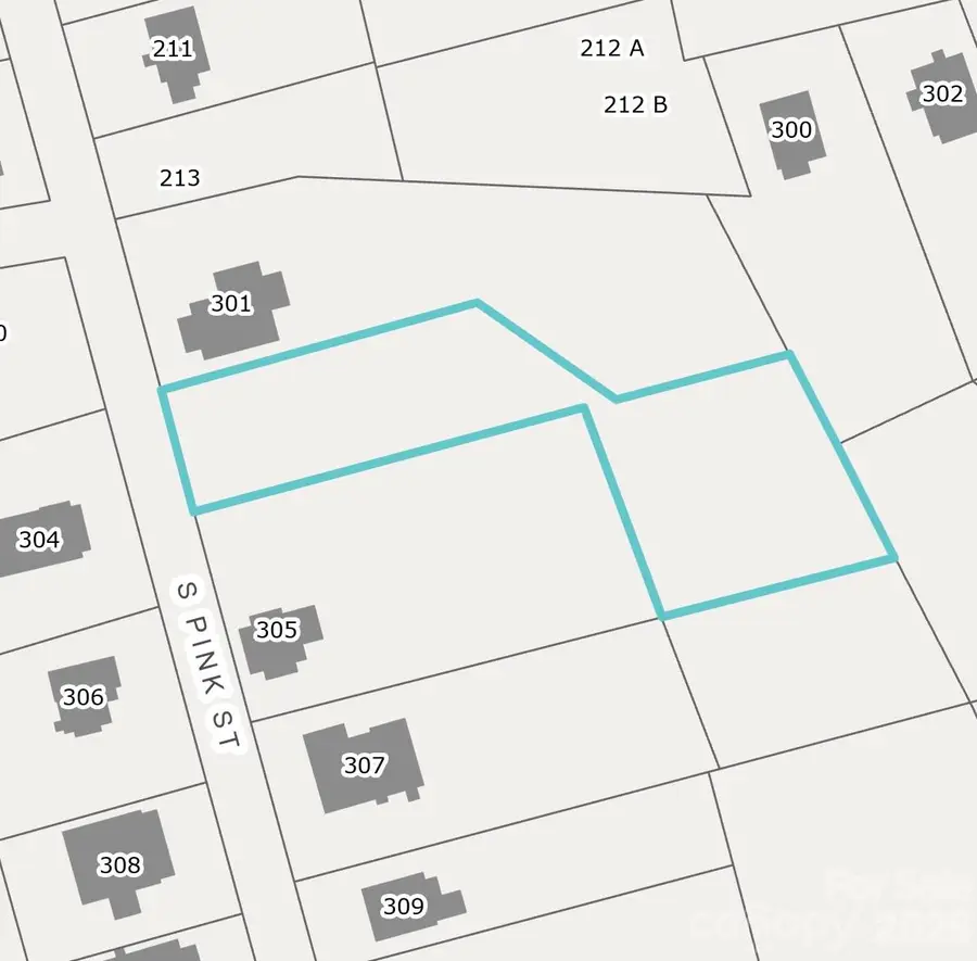 303 S Pink Street, Cherryville, NC 28021 - #2