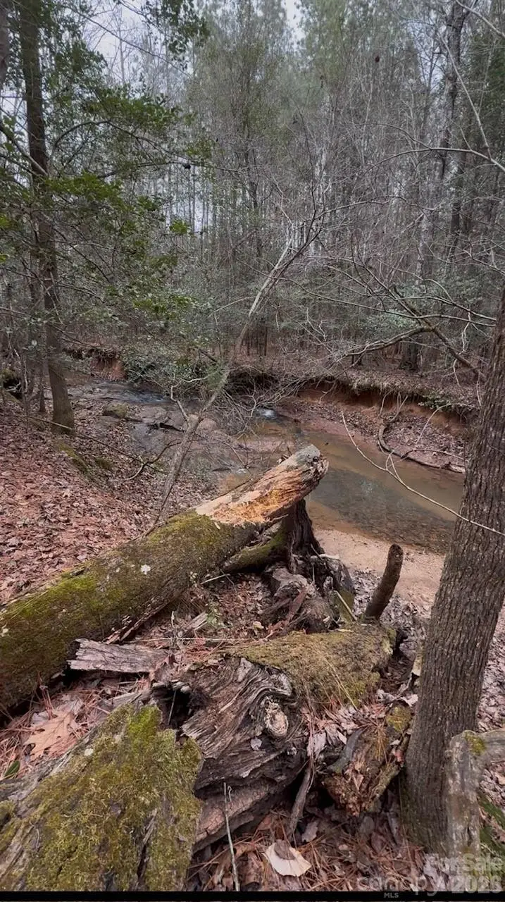 0 Pemberton Drive, Candor, NC 27229 - #3