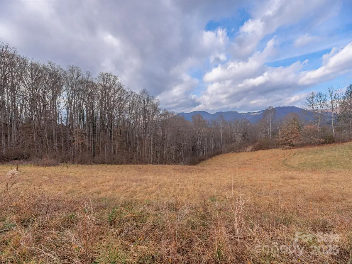 105 Riverview Drive, Canton, NC 28716 - Image #1