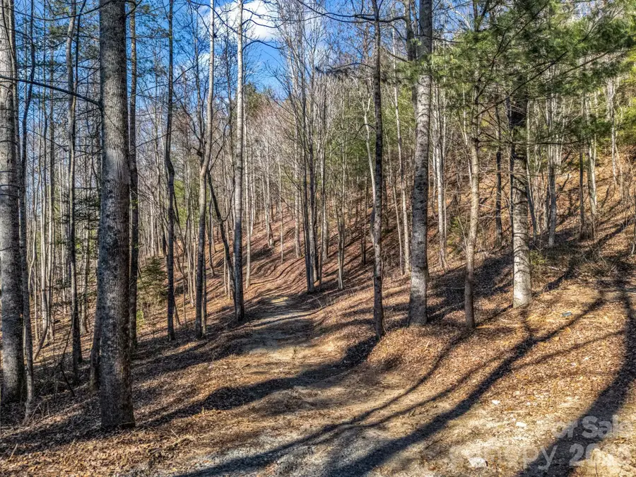 109 Justamere Lane, Hendersonville, NC 28739 - #3