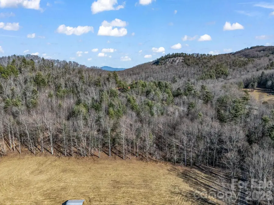 171 Justamere Lane, Hendersonville, NC 28739 - #3