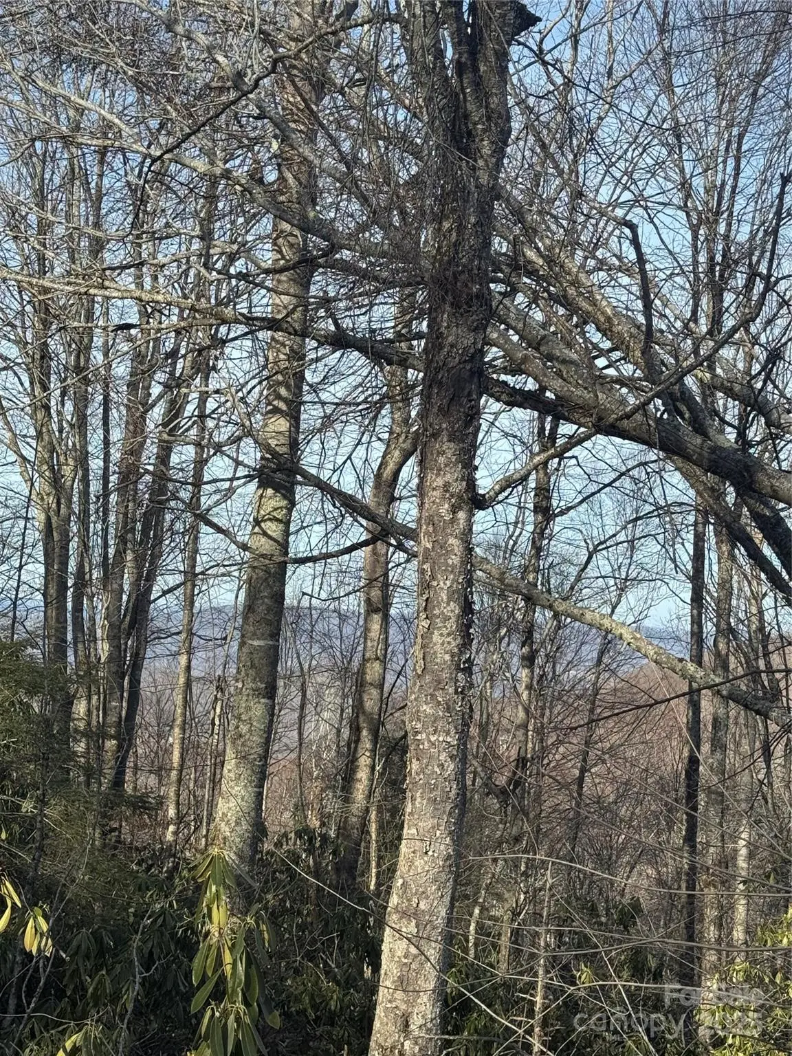 226 Greenbriar Road #322 C, Beech Mountain, NC 28604 - Image #1