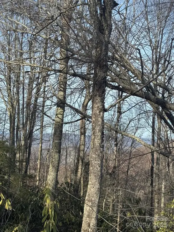 226 Greenbriar Road #322 C, Beech Mountain, NC 28604