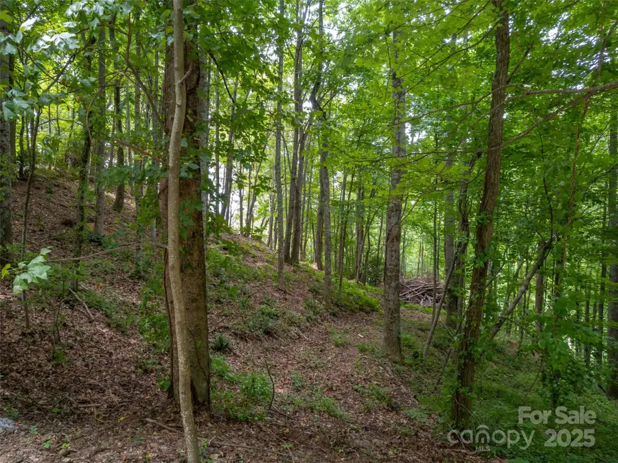 20 Highland Point Drive, Hendersonville, NC 28739 - Image #2